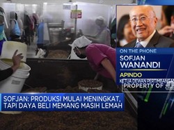 Daya Beli Melemah, Apindo Tahan Produksi & Spending