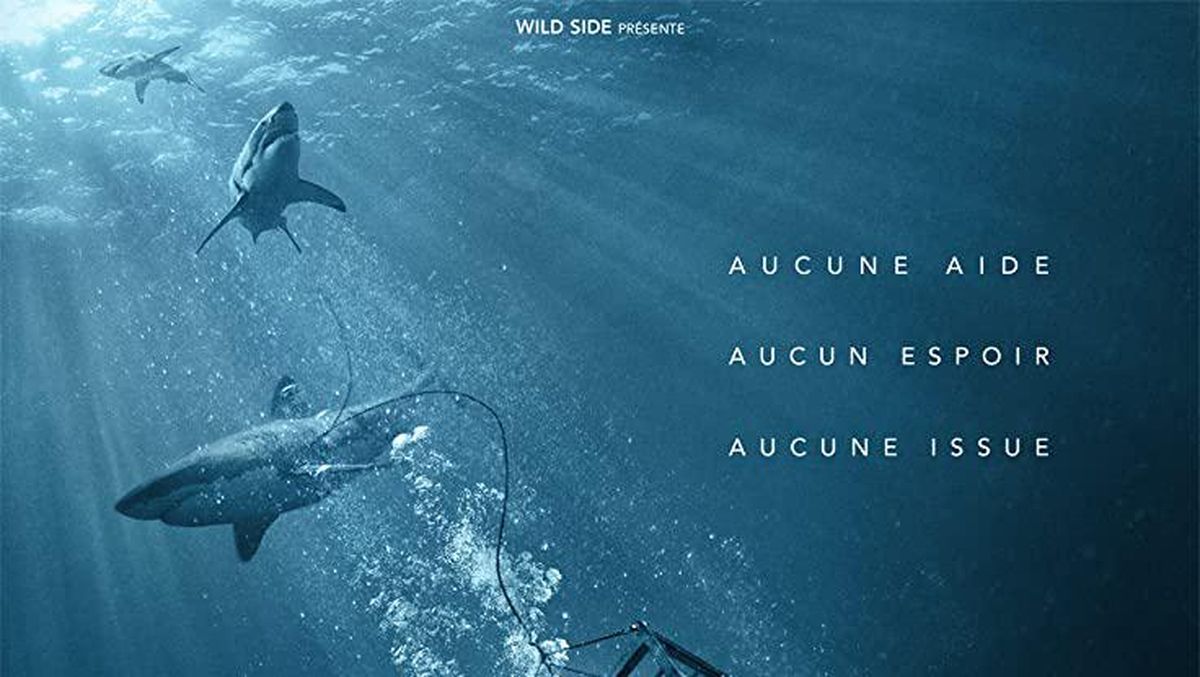 Sinopsis Film 47 Meters Down, Perjuangan Hidup dari Kepungan Hiu