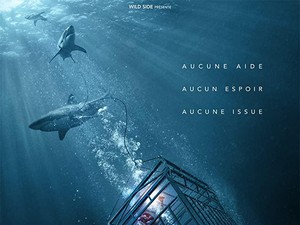 Sinopsis Film 47 Meters Down, Terjebak di Dasar Laut dan Dikejar Hiu