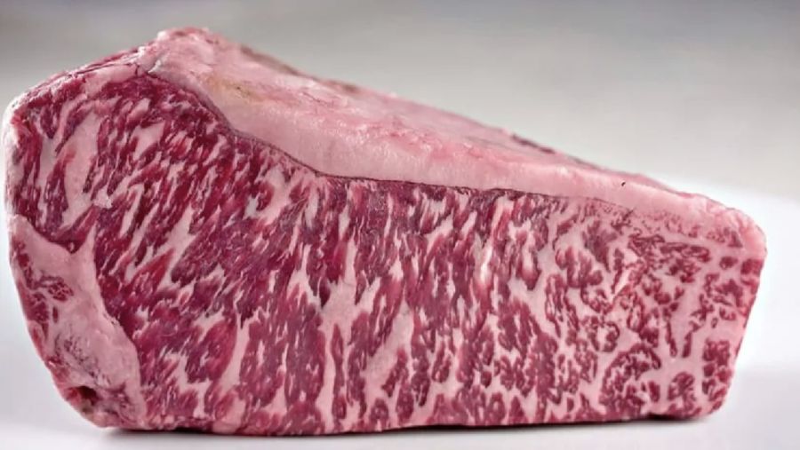 Wagyu Beef. Ist