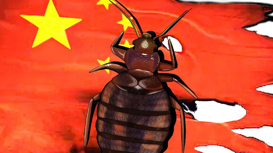 INFOGRAFIS, Tick Borne, Wabah Virus Baru dari China
