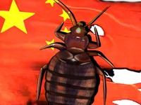 Penyakit Gegara Virus Tick-Borne China Mirip Covid-19?