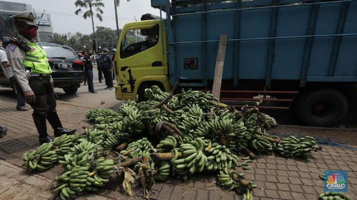 Badan Narkotika Nasional (BNN) berpakain hazmat menggagalkan upaya penyelundupan ratusan kilogram narkotika jenis ganja yang disembunyikan di dalam truk pisang di Perumahan Pesona Metropolitan, Kota Bekasi, Jawa Barat, Senin (10/8/20). (CNBC Indonesia/Tri Susilo)