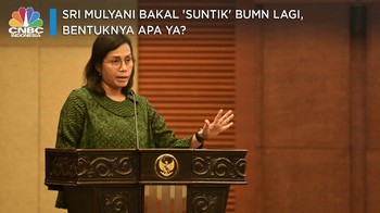 Sri Mulyani Bakal 'Suntik' BUMN Lagi, Bentuknya Apa ya?