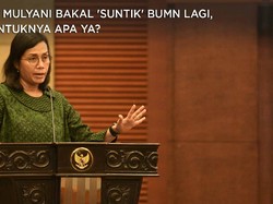 Sri Mulyani Bakal 'Suntik' BUMN Lagi, Bentuknya Apa ya?