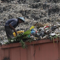 Terungkap! 10 Provinsi RI yang Warganya Suka Buang-buang Makanan