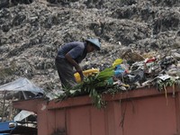 Terungkap! 10 Provinsi RI yang Warganya Suka Buang-buang Makanan