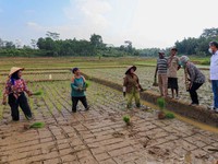 Cuma 1,5 Bulan, Penyaluran Dana PEN BRI Tembus Target Rp 30 T