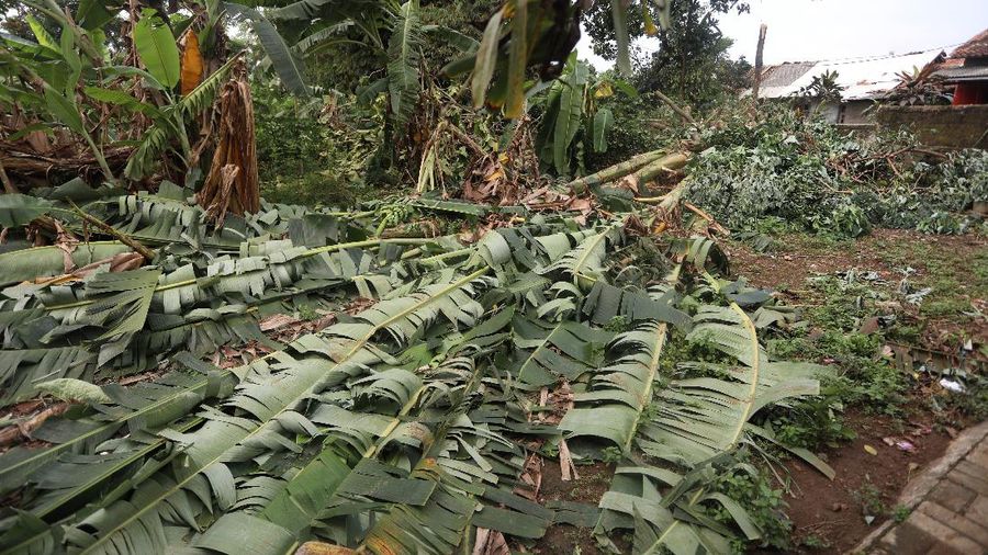 Angin Puting Beliung di Depok (CNBC Indonesia/Andrean Kristianto)