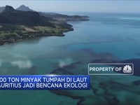 1.000 Ton Minyak Tumpah di Laut Mauritius