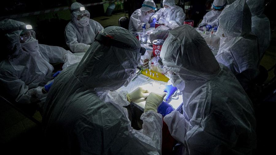Researchers set up equipment for catch bat in front of cave inside Sai Yok National Park in Kanchanaburi province, west of Bangkok, Thailand, Friday, July 31, 2020. Thai researchers are collecting samples from bats to test if they could also carry a novel coronavirus, similar to what bats in China are found to have. The result could help answer the question everyone is asking – what's the origin of the COVID-19 virus? (AP Photo/Sakchai Lalit)