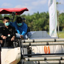 HUT RI Ke 75, Momentum Bangkitkan Korporasi Tanaman Pangan
