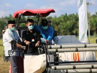 HUT RI Ke 75, Momentum Bangkitkan Korporasi Tanaman Pangan