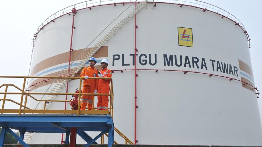 Dok: PGN