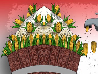 PR Daulat Pangan, Beras sampai Kedelai RI Masih Impor