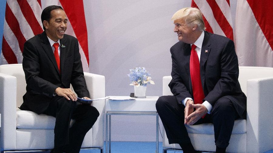 President Donald Trump meets with Indonesian President Joko Widodo at the G20 Summit in Hamburg, Germany, Saturday, July 8, 2017. (AP Photo/Evan Vucci)