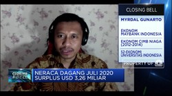 Ekonom: Kontraksi Impor Juli Cermin Belum Pulihnya Ekonomi RI