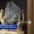 Freeport Indonesia Sasar Kenaikan Produksi Tembaga & Emas