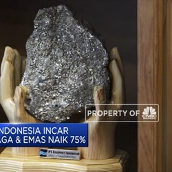 Freeport Indonesia Sasar Kenaikan Produksi Tembaga & Emas