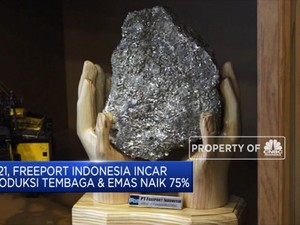 Freeport Indonesia Sasar Kenaikan Produksi Tembaga & Emas