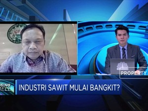 GAPKI: Kebutuhan Biodisel Topang Kinerja Industri Sawit