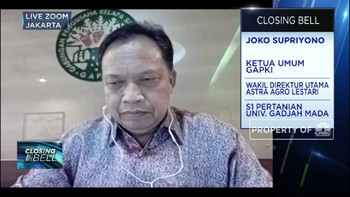 Tren Permintaan Meningkat,GAPKI: Industri Sawit Mulai Bangkit
