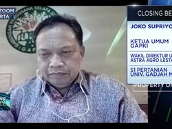 Tren Permintaan Meningkat,GAPKI: Industri Sawit Mulai Bangkit