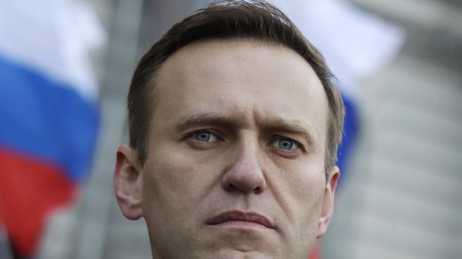 Alexei Navalny. (AP/Dmitri Lovetsky)