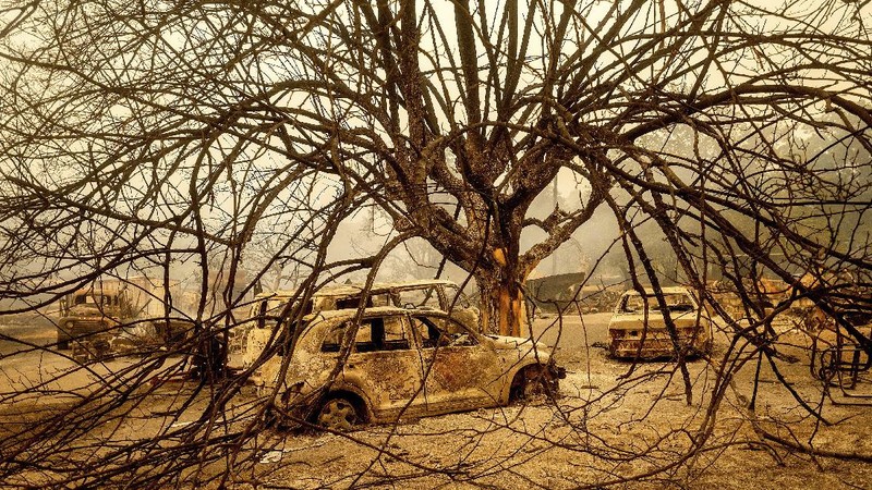 Kebakaran hutan California meluas. (AP/Nic Coury)