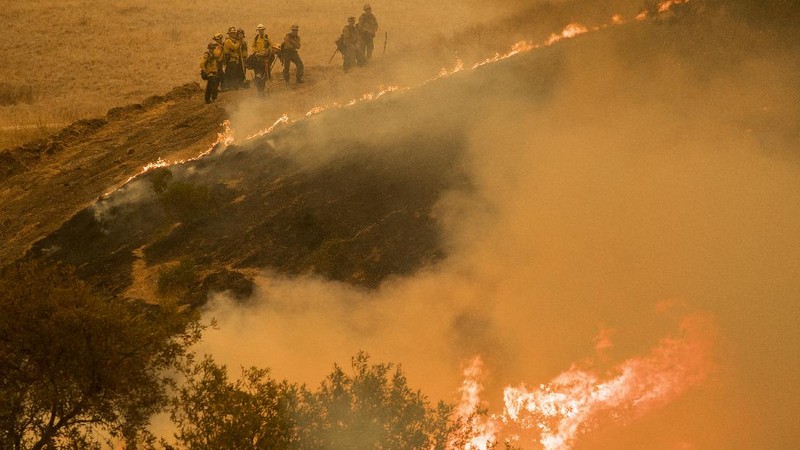 Kebakaran hutan California meluas. (AP/Nic Coury)