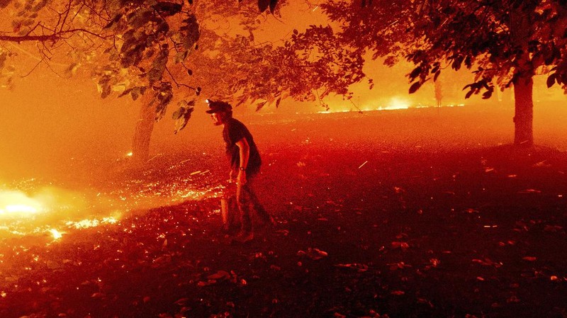 Kebakaran hutan California meluas. (AP/Nic Coury)