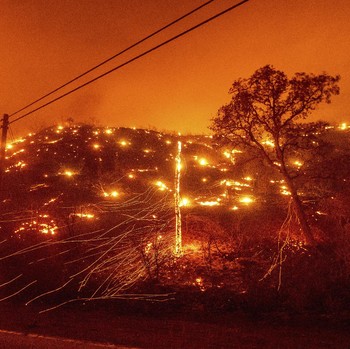 Kebakaran Hutan California Meluas, Rumah Penduduk Terancam