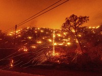 Kebakaran Hutan California Meluas, Rumah Penduduk Terancam