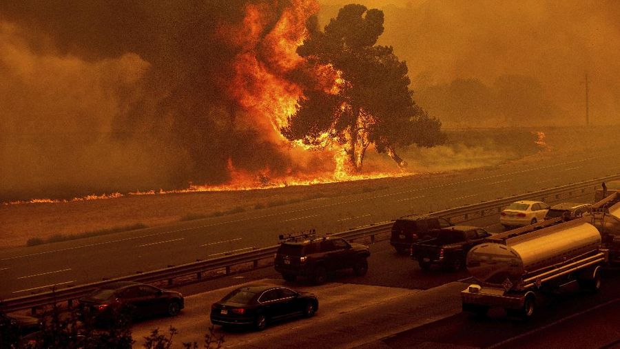 Kebakaran hutan California meluas. (AP/Nic Coury)