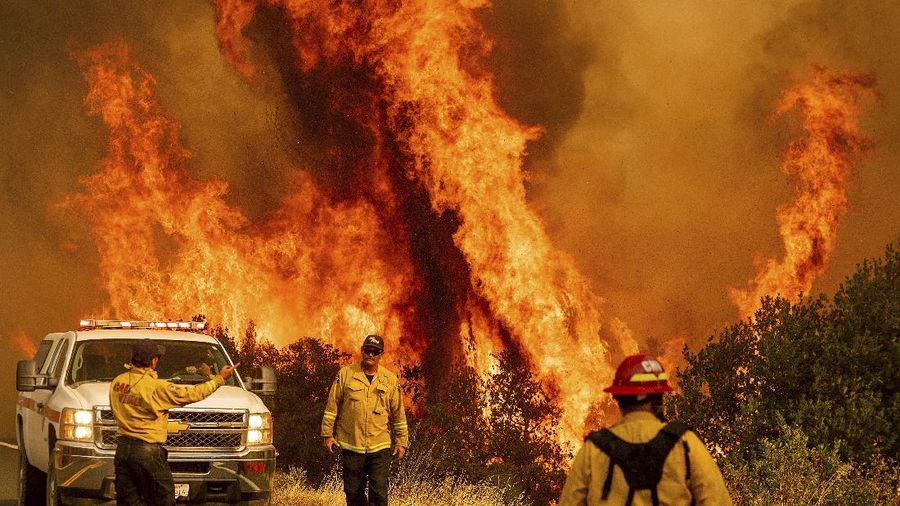 Kebakaran hutan di AS.  (AP/Noah Berger)