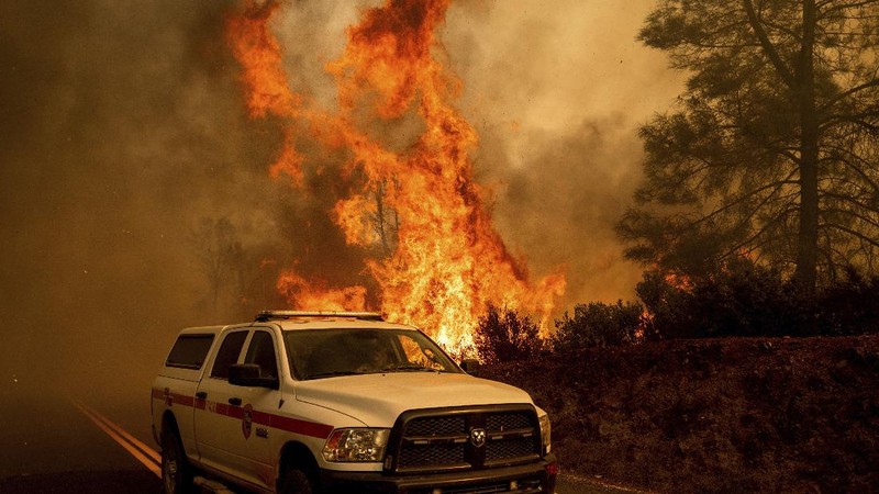 Kebakaran hutan di AS.  (AP/Noah Berger)