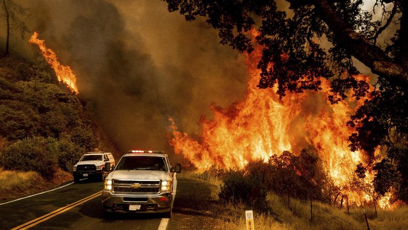 Kebakaran hutan di AS.  (AP/Noah Berger)