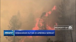 Kebakaran Melanda Lake County di California, AS