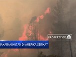 Kebakaran Melanda Lake County di California, AS
