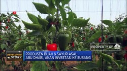 Produsen Sayur Asal Abu Dhabi Ini akan Investasi ke Subang
