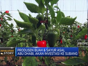 Produsen Sayur Asal Abu Dhabi Ini akan Investasi ke Subang