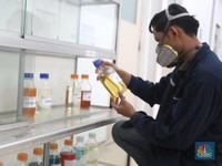 Wuih! Indonesia-Malaysia Sepakat Kebut Mandatory Biodiesel