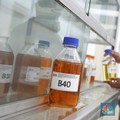 Biodiesel B40 Segera Disosialisasikan, Jadi Tahun Depan?