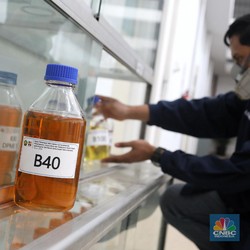 Program Biodiesel B40 di 2021, Pemerintah Udah Siap?
