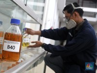 Harga Gak Stabil, Gimana Nasib Kelanjutan Program Biodiesel?