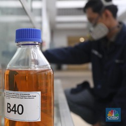 Siap-Siap! 1 Januari 2025, Pemerintah Luncurkan Biodiesel B40