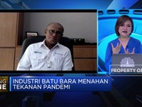 Plan B, Jika Harga Terus Turun PTBA Kurangi Produksi 15%