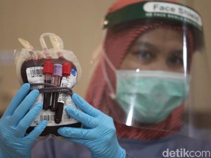 Penjelasan Kemenkes soal Indonesia Masih Impor Darah