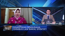 Ekonom: Sebelum Disahkan, Dilema Omnibus Law Harus Selesai