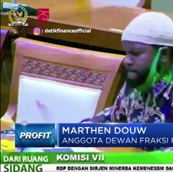 Lagi, Dewan Marah-Marah Saat Sidang Dengan PT Freeport